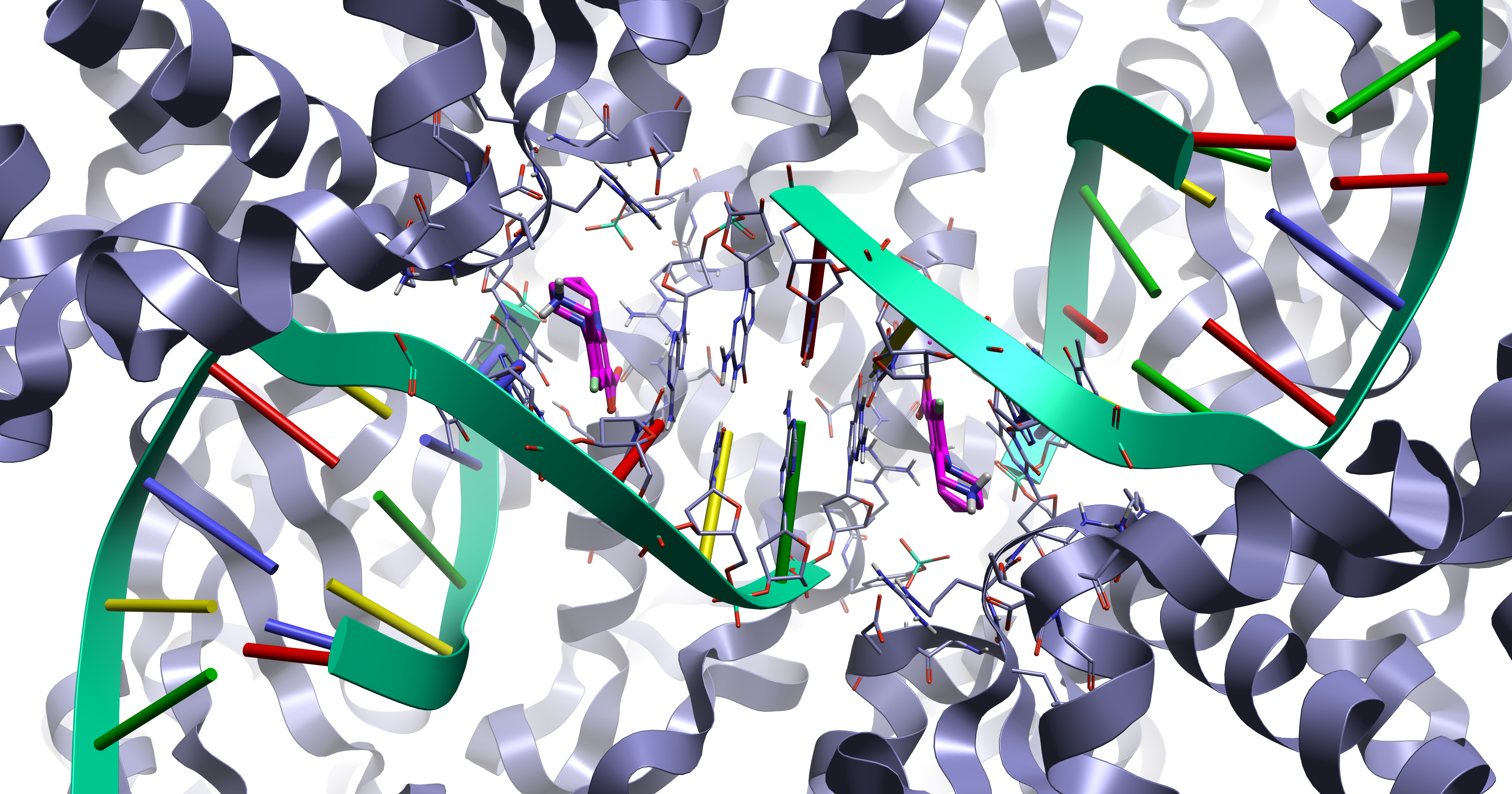 Figure 1. The 5btc crystal structure displaying the fluoroquinolone intercalation DNA binding mode.
