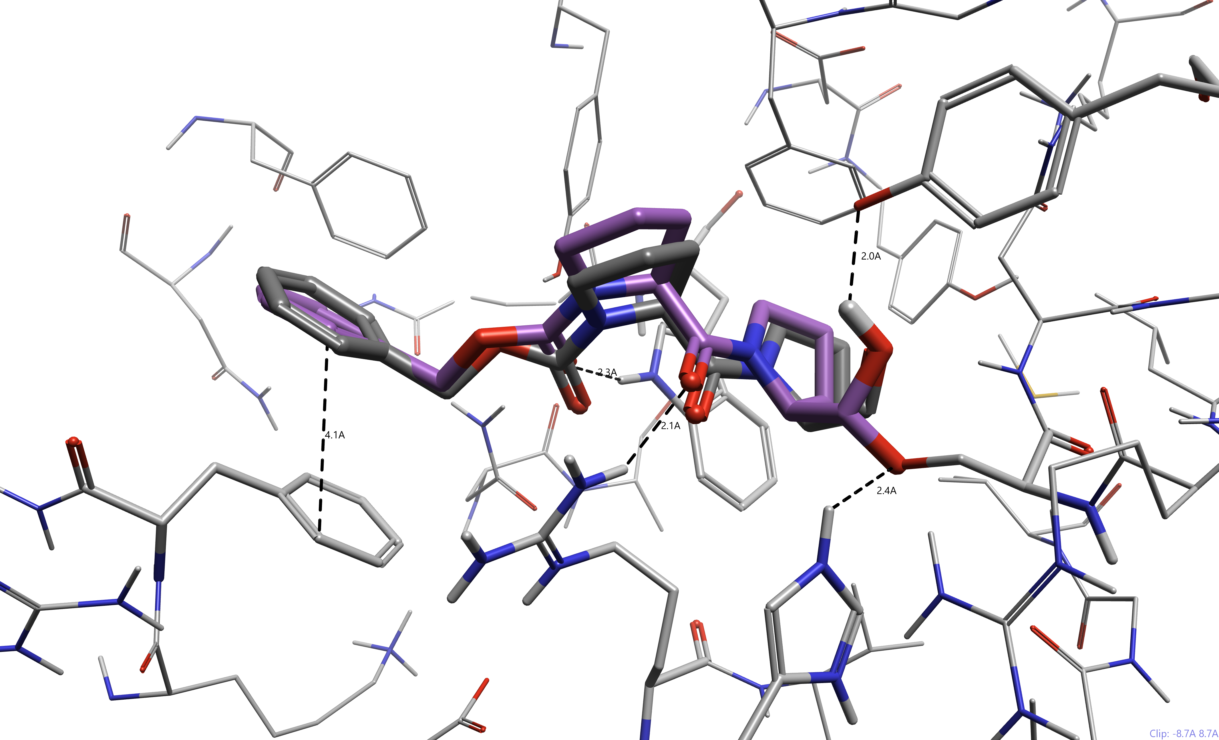 Z-Pro-Prolinal docked to prolyl oligopeptidase (pdb 7VGC)