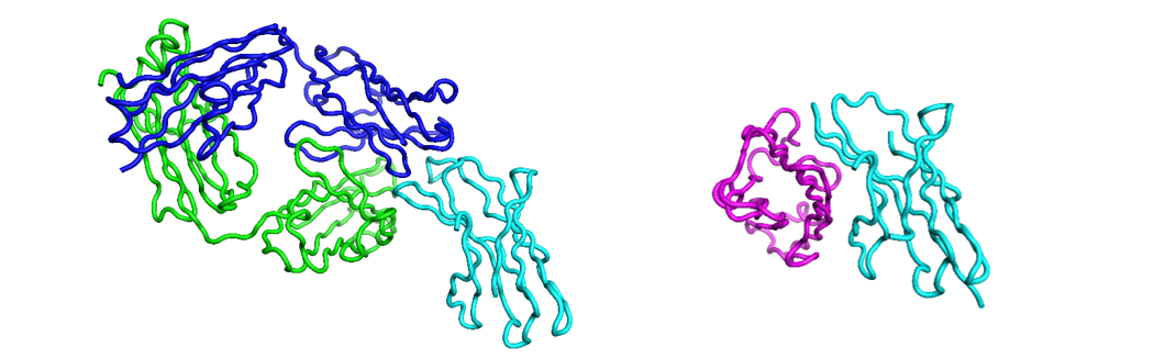 Nivolumab and PD1 complex
