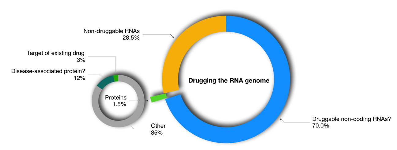 Only 1.5% of the human genome encodes proteins