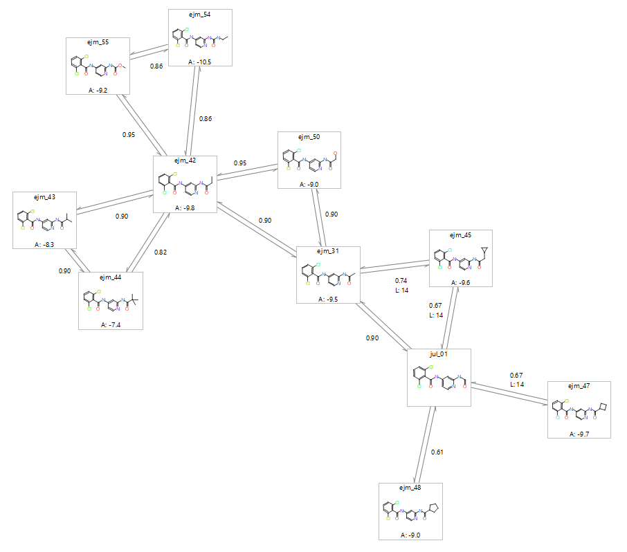 Possible perturbation map for a congeneric series of tyk2 ligands