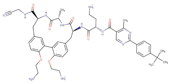 Genentech: G0775 LepB peptidase inhibitors for gram-negative antibiotics