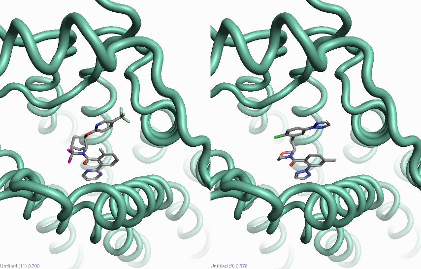 Orexin ligands modeled into the orexin receptor (PDB: 4ZJC) using Flare™