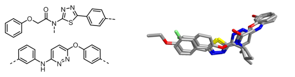 Two active chemotype sets