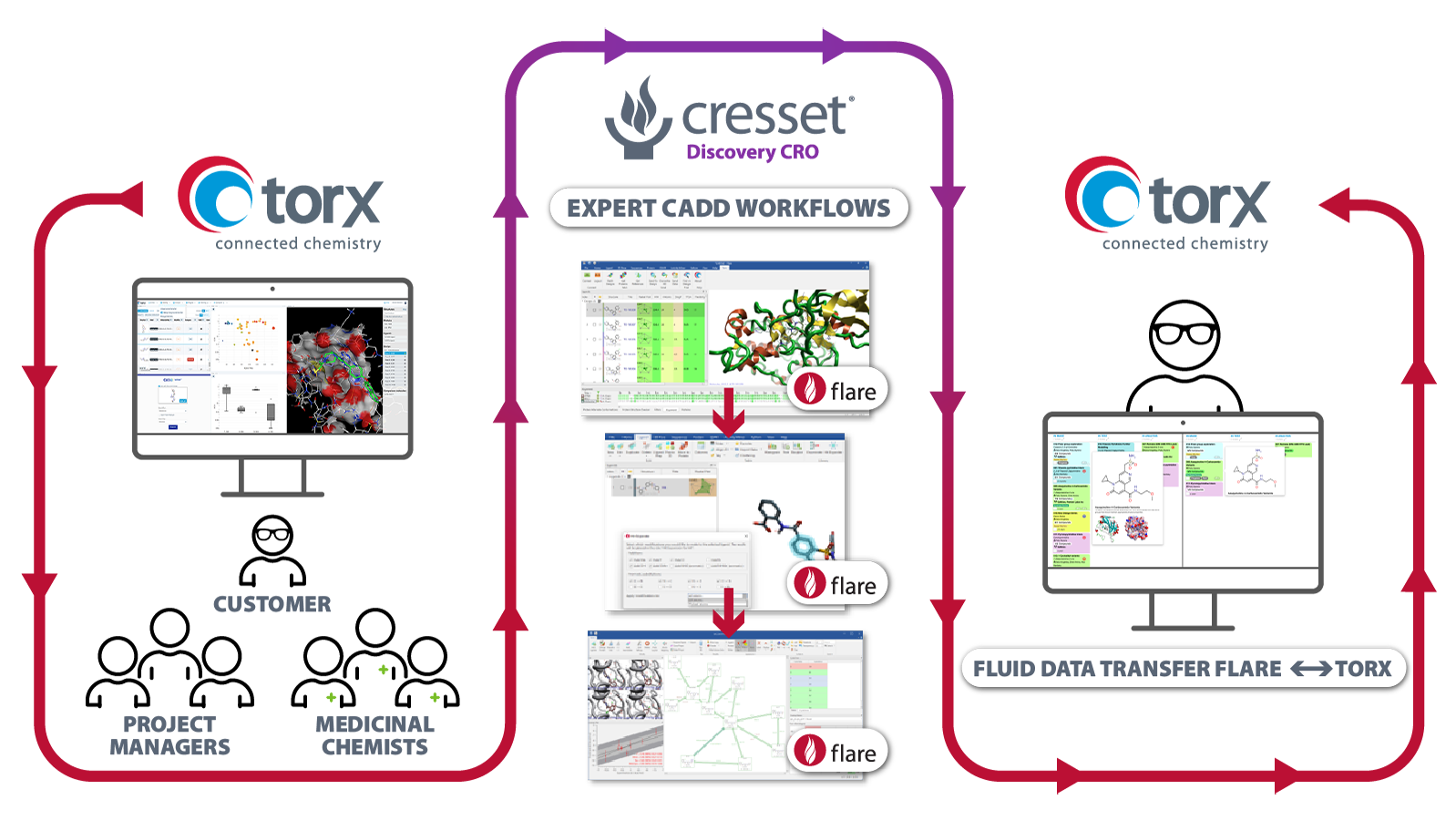 Figure 2. An example of a Cresset Discovery workflow using Torx with stakeholders