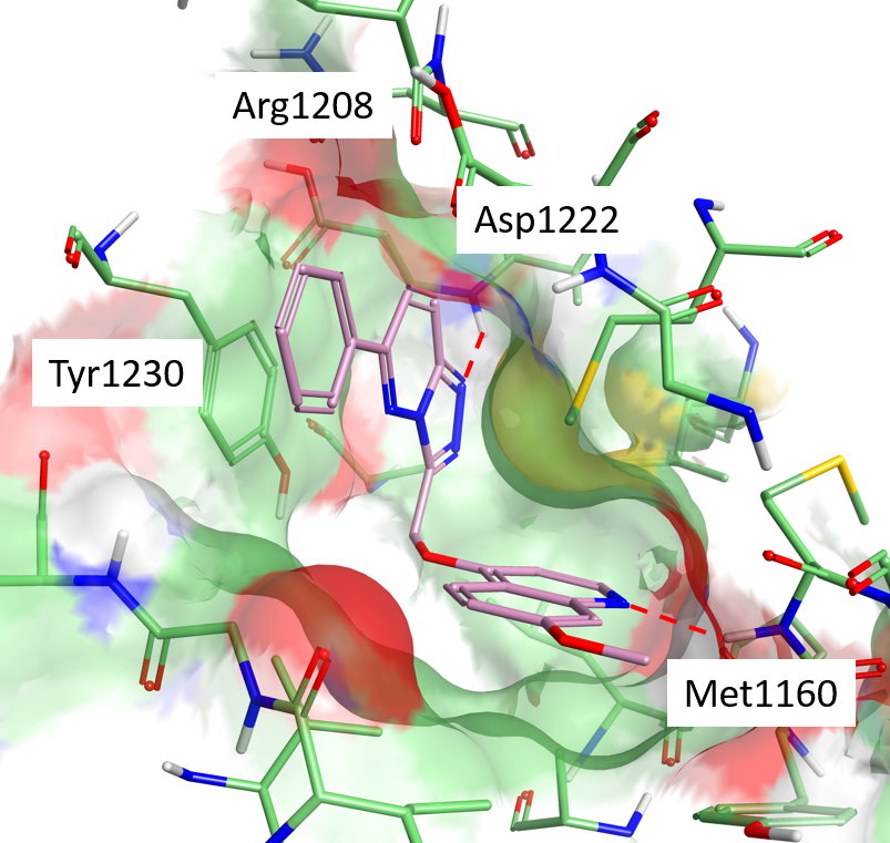 X-ray crystal structure of compound 43 in the active site of c-Met _PDB 3DC8