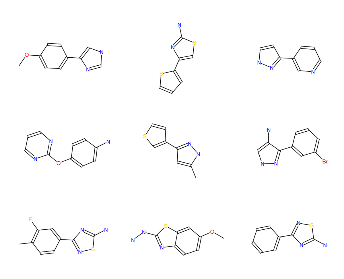 2D representations of selected members of cluster 1